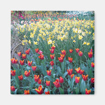 Tulip Garden Magnets