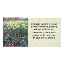 Tulip Garden Photo Card