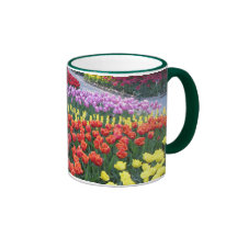 Tulip Gardens Mug