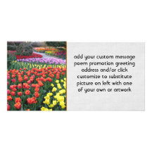 Tulip Gardens Personalized Photo Card