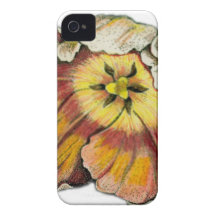 Tulip in Bloom iPhone 4 Cases