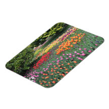 TULIP MEADOW MAGNET