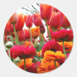 Tulip Poppy Dance Sticker