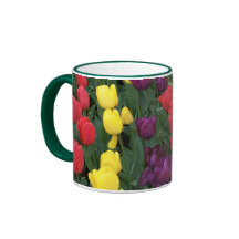 Tulip Rainbow Coffee Mug