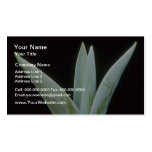 Tulip Red flowers Business Card Templates