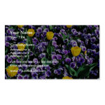 Tulips and violas  flowers business card templates