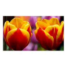Tulips Business Cards