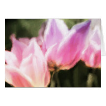 Tulips Greeting Cards