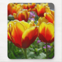 Tulips on a Springday Tapis De Souris