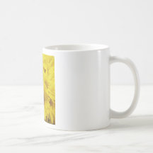 Tumbling Daisies Mugs