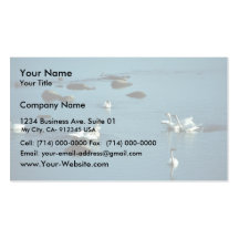 Tundra Swans on Water Business Card