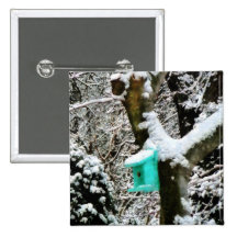 Turquoise Birdhouse in Winter Buttons