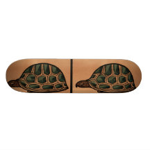 Turtle - Antiquarian, Colourful Book Illustration Skate Decks