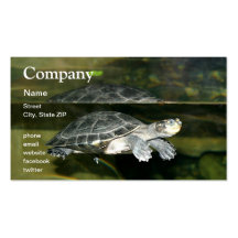 Turtle Business Card