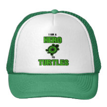 Turtle Hero 1 Mesh Hats