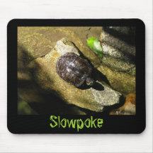 Turtle in the Sun Mousepad