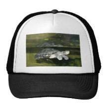Turtle Mesh Hats