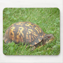 Turtle Mousepad