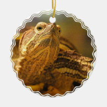 Turtle Photo Ornament