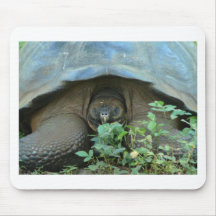 Turtle-Tortise Mousepad