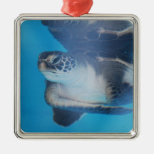 Turtle Underwater Ornament