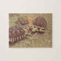 Turtlefamily Puzzle puzzles