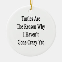 Turtles Are The Reason Why I Haven't Gone Crazy Ye Ornament