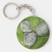 Turtles Keychain