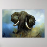 Tusks, Elephants Print