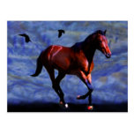 Twilight horse postcards