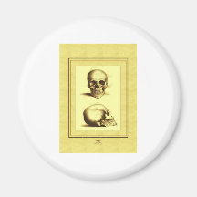Twin Antique Skulls Magnet