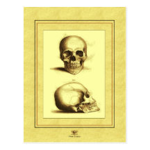 Twin Antique Skulls Post Cards