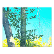 Twin trees photograph