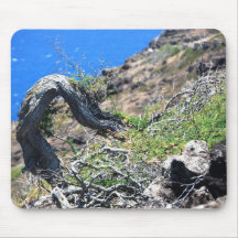Twisted Branch Mousepad