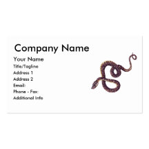 Twisting Snake Business Card Template