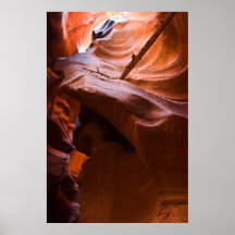 Twisting Towards The Sky Print