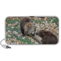 Two bears travelling speakers