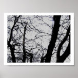 Two Birds Awaiting Food Canvas Print