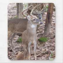 Two Bucks Mouse Pad