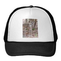 Two Bucks Trucker Hat
