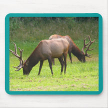 Two Bull Elk Mouse Pad