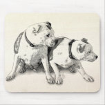 Two Bull Terriers Mouse Mat