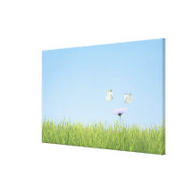 Two butterflies hovering over flower gallery wrap canvas
