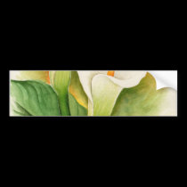Two Cala Lilies Watercolor Art - Multi bumper stickers