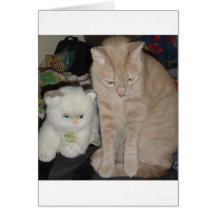 TWO CATS GREETING CARD