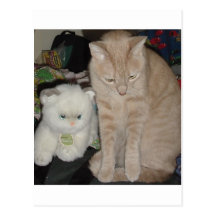 TWO CATS POSTCARDS