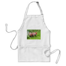 two fox cubs apron