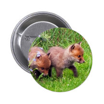 two fox cubs button