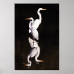 Two Great Egrets Reflecting On The Day Poster