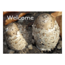 Two Mushrooms Invitation